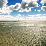 Tammwarftshof アパート ペルヴォルム