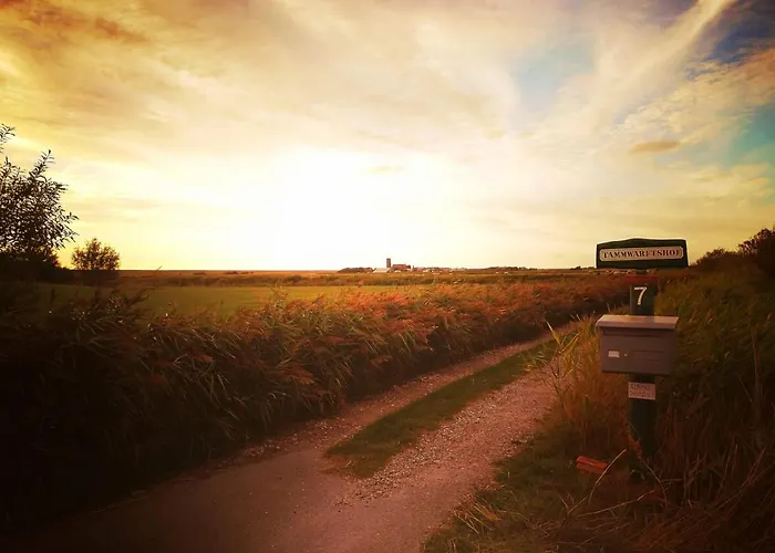 Tammwarftshof * Pellworm